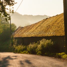 Old Dairy – Salehurst