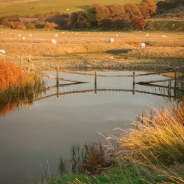 Autumn Colours Of The Cuckmere Haven