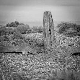Old Groyne