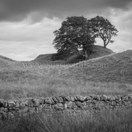 King Arthur’s Well, Northumberland