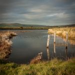 Cuckmere Haven under Glowering Skies