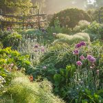 'Through The Garden', Igpoty category winner and greeting card by Nicky Flint
