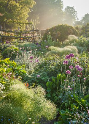 'Through The Garden', Igpoty category winner and greeting card by Nicky Flint