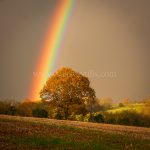 The Rainbow's End!