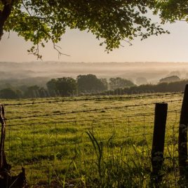 View From Sheepstreet Lane, greeting card by Nicky Flint