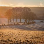 'Low Light, Long Shadows' greeting card by Nicky Flint