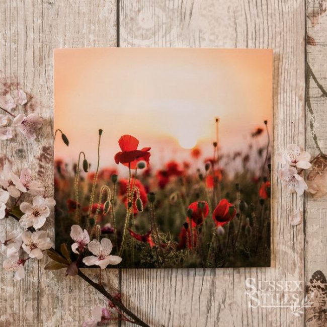'Poppies At First Light' greeting card by Nicky Flint
