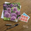 Alliums greeting card by Nicky Flint