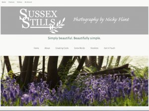 Image of Sussex Stills Website