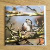 Long-tailed Tit greeting card by Nicky Flint