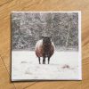 Sheep In Snow greeting card by Nicky Flint 2