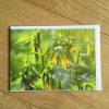 Uvularia grandiflora greeting card by Nicky Flint 1