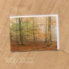 Catch-up, beech wood in autumn greeting card by Nicky Flint 3