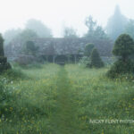 Path To The Hovel
