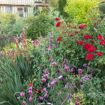 The Long Border