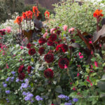 The Solar Garden